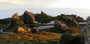 Hump Ridge Loop Track