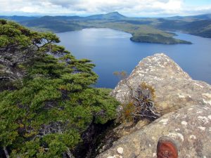 Lake Hauroko Lookout