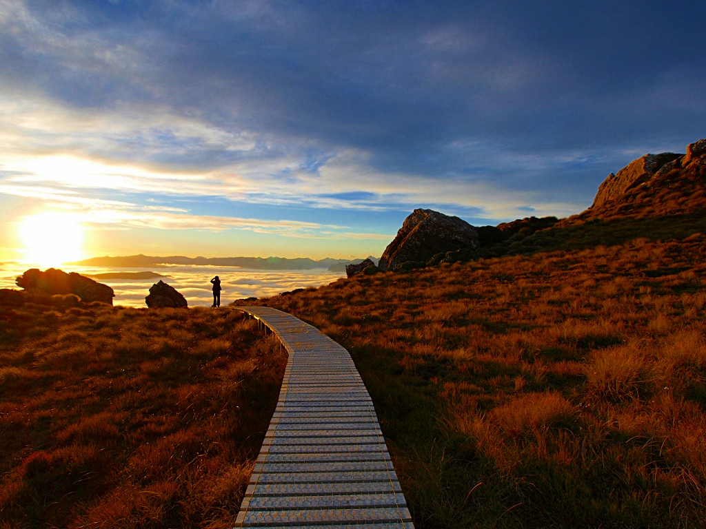 Hump Ridge Track Tuatapere, a newly declared Great Walk