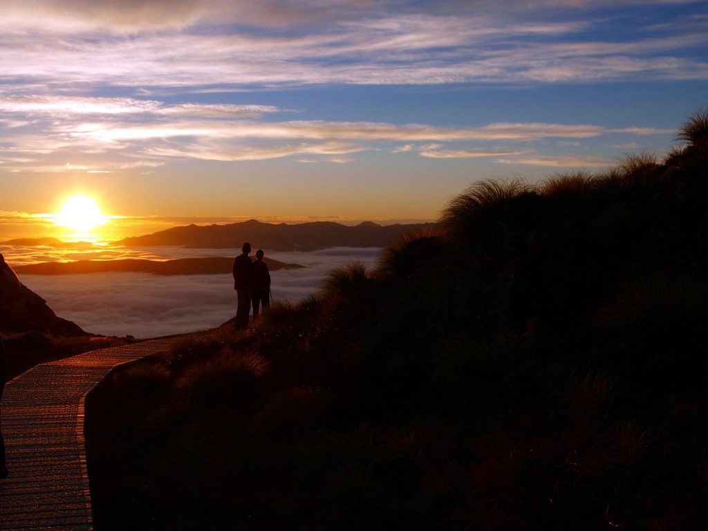 Hump Ridge Track ~ For Two