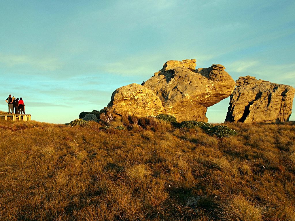 Hump Ridge Track ~ Tors
