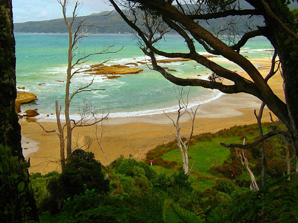Hump Ridge Track ~ View to the Beach
