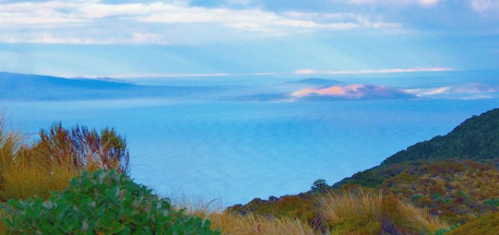 Pahia Hill