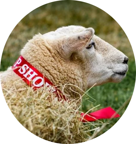 2023 Waiau A&P Show